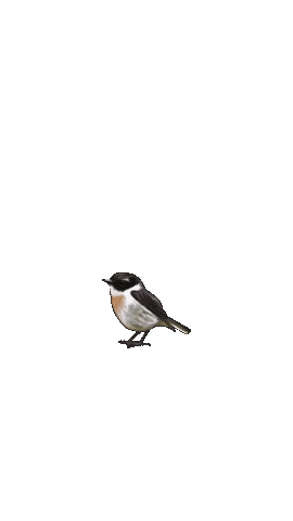 La Reunion Bird Sticker