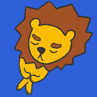 Shy lion