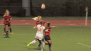 GIF by VCU Athletics