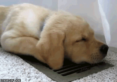 resting air conditioning GIF by Cheezburger