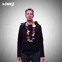 Not Cool Help GIF by SWR3
