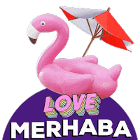 Fun Love Sticker by Merhabamedia