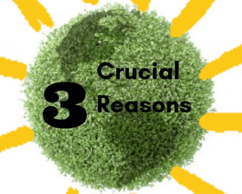 Thamilton54 giphygifmaker giphyattribution GIF