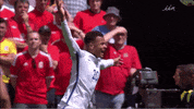 Euro 2016 England GIF by Sporza