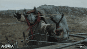 Jedi GIF by Star Wars