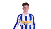 Voetbalvereniging_Scherpenzeel sport voetbal bal blauwwit Sticker