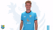 Football Sport GIF by ChemnitzerFC