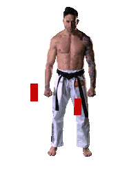 fighter sitcker by Karate Combat