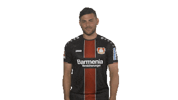 love you yes Sticker by Bundesliga