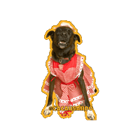 Fun Love Sticker
