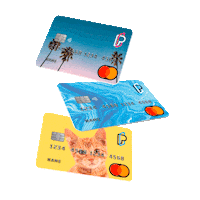 Cards Pay Sticker by Pixpay