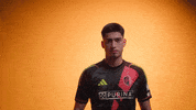 St Louis Football GIF by St. Louis CITY SC