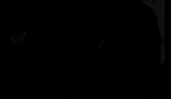 anastasia steele hush GIF by Fifty Shades