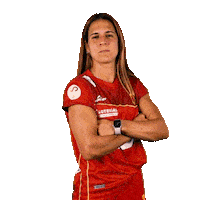 RFEH iberdrola rfeh hockey españa redsticks Sticker