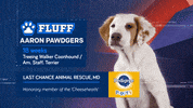 Animal Planet GIF by Puppy Bowl