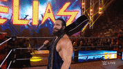Wwe Wrestling GIF by USA Network