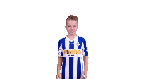 Voetbalvereniging_Scherpenzeel giphyupload sport voetbal bal Sticker