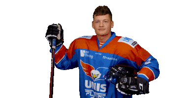 unisflyers goal eagles flyers nederland Sticker
