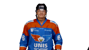 unisflyers goal eagles flyers nederland Sticker
