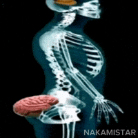 Brain Fool GIF