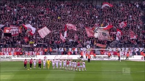 GIF by 1. FC Köln