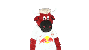 Goal Cheer Sticker by FC Red Bull Salzburg