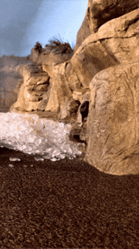 Puffin Slide In GIF by Monterey Bay Aquarium