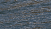 Fishing Revolver GIF by Karl's Bait & Tackle
