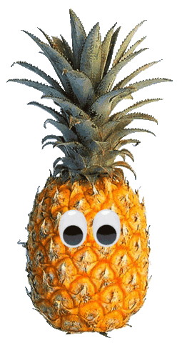 pineapple Sticker by Miriam Ganser