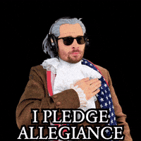 United States Usa GIF