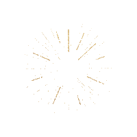 safeplaceforyouth sparkle firework losangeles venice Sticker