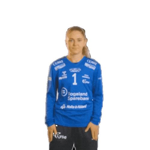 Rema1000Ligaen Sticker by Norsk Topphåndball