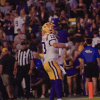 College Football GIF by LSU Tigers