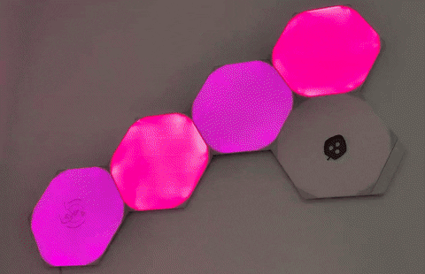 TGspot giphyupload GIF