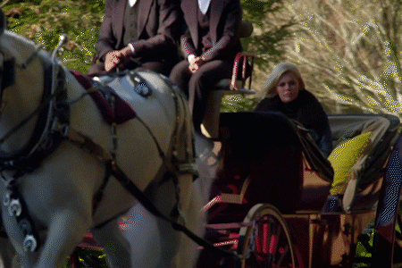 #bacheloretteau GIF by The Bachelorette Australia