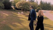 x files fox GIF