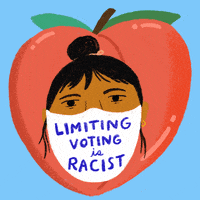 Right To Vote Voting Rights GIF by Creative Courage