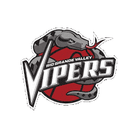 G League Basketball Sticker by RGV Vipers