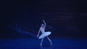 Swanlake GIF by English National Ballet