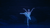 Swanlake GIF by English National Ballet
