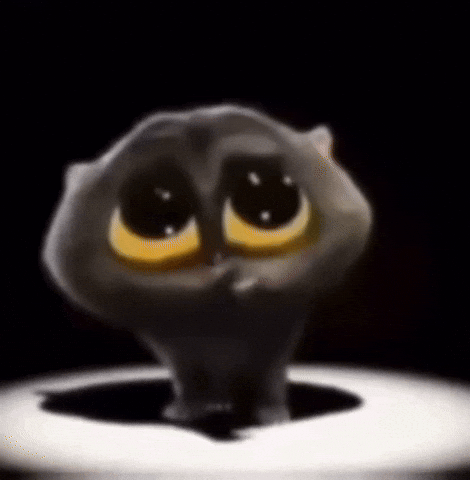 Dancing Cat GIF