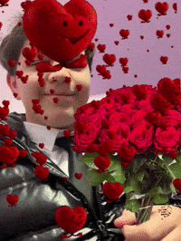 Le Havre Rose GIF