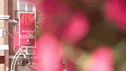 wsupullman  GIF