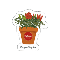 Veggie Vegetable Sticker by Ball Horticultural Co