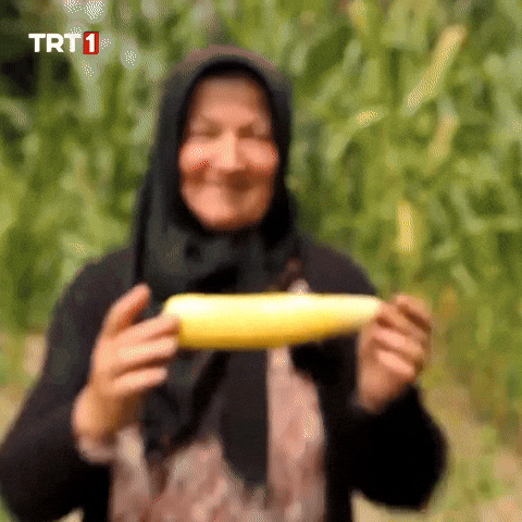 Hungry Corn GIF by TRT