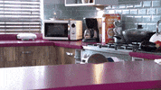 Hollyoaks no sad shock gossip GIF