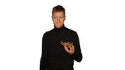 Carnaval Vastelaovend GIF by Lex Uiting