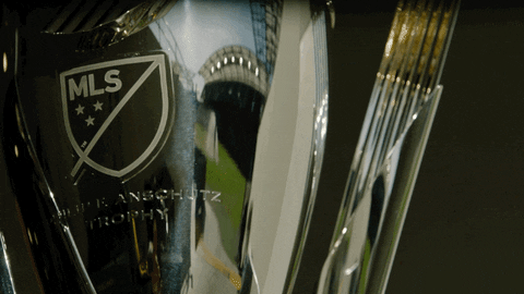 Mls Cup Football GIF by Major League Soccer