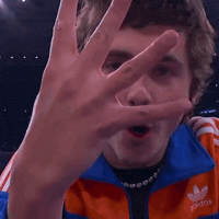 Timothee Chalamet Knicks GIF by Respective