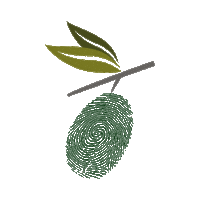 Olive Sticker by Zeytin Okulu